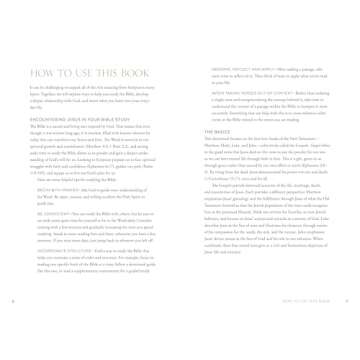 Walk with Jesus: Bible Study for Women: A Year of Teachings and Prayers to Grow in Faith and Love