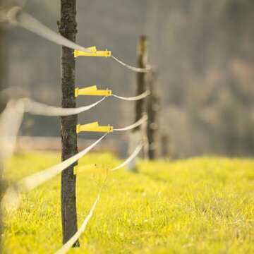 Tandefio 25 Pcs Electric Fence Insulator 5 Inch Slant Nail Wood Post T Post Yellow Nail on Insulator for Pet Animal Fence Heavy- Duty Fencing Wire