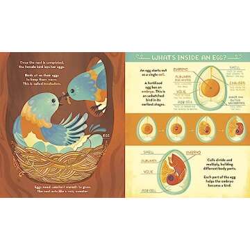 What's Inside A Bird's Nest?: And Other Questions About Nature & Life Cycles