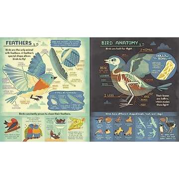 What's Inside A Bird's Nest?: And Other Questions About Nature & Life Cycles