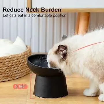 YauYik Elevated Cat Bowls for Comfortable Eating