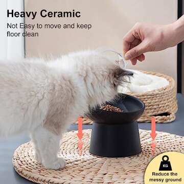 YauYik Elevated Cat Bowls for Comfortable Eating
