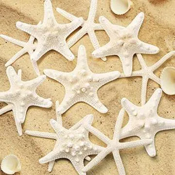 Natural 12 PCS Starfish Decor for Crafts and Weddings