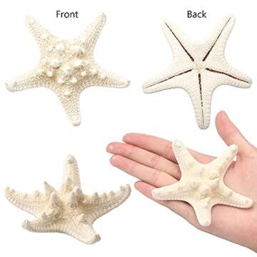 Natural 12 PCS Starfish Decor for Crafts and Weddings