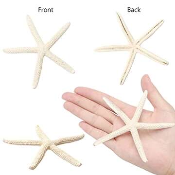 Natural 12 PCS Starfish Decor for Crafts and Weddings