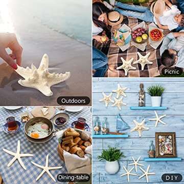Natural 12 PCS Starfish Decor for Crafts and Weddings