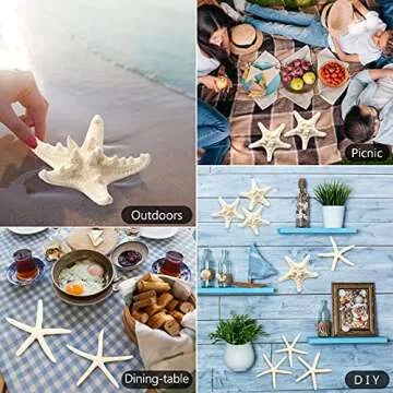 Natural 12 PCS Starfish Decor for Crafts and Weddings