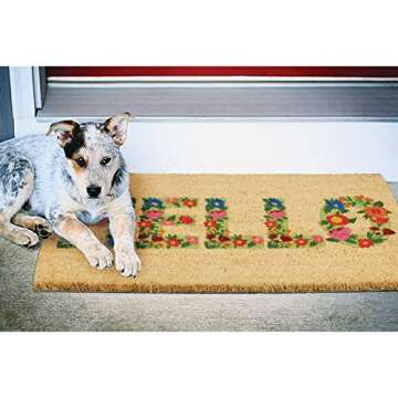 mDesign Welcome Coir & Rubber Doormat for Indoor/Outdoor