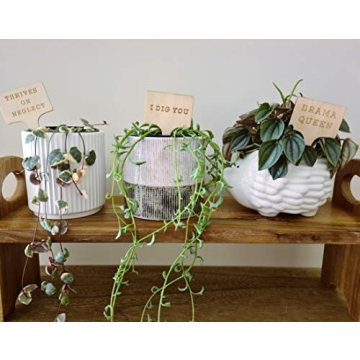Funny Plant Markers Set - Unique Garden Gifts for Plant Lovers