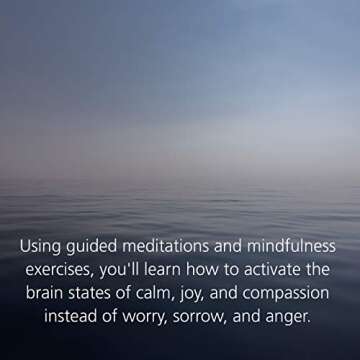 Buddha's Brain: The Practical Neuroscience of Happiness, Love, and Wisdom