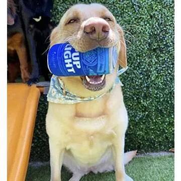 Nestpark Pup Light and Pups Blue Rubbin - Beer Dog Toys - Funny Dog Toys - Plush Squeaky Cute Dog Gifts for Dog Birthday - Cool Stuffed Parody Dog Toys (2 Pack) (Mix)