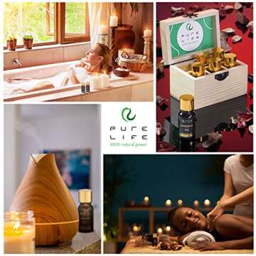 Pure Life Top Essential Oil Set - Organic Aromatherapy Fragrance Oils for Home & Car