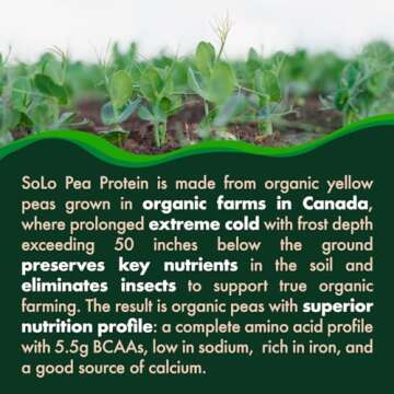 SOLO Organic Pea Protein Isolate, Low in Sodium, Canada Grown Peas, 100% Vegan, Non-GMO, Unflavored Plant Based Protein Powder with BCAA, Keto & Paleo Friendly, Easy to Digest, No Additives (2.7 lbs)