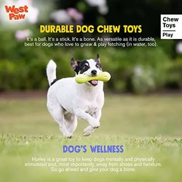 WEST PAW Zogoflex Hurley Dog Bone Chew Toy – Floatable Pet Toys for Aggressive Chewers, Catch, Fetch – Bright-Colored Bones for Dogs – Recyclable, Dishwasher-Safe, Non-Toxic, Small 6", Ruby Red