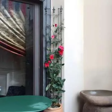 Thealyn Garden Trellis 2 Pack 72'' H x 12'' W Metal Plant Trellis Indoor/Outdoor Metal Garden Trellis Plant Trellis for Potted Plants Climbing Houseplants Flowers