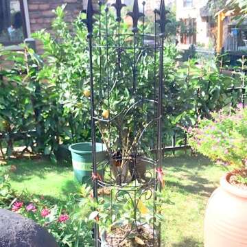 Thealyn Garden Trellis 2 Pack 72'' H x 12'' W Metal Plant Trellis Indoor/Outdoor Metal Garden Trellis Plant Trellis for Potted Plants Climbing Houseplants Flowers