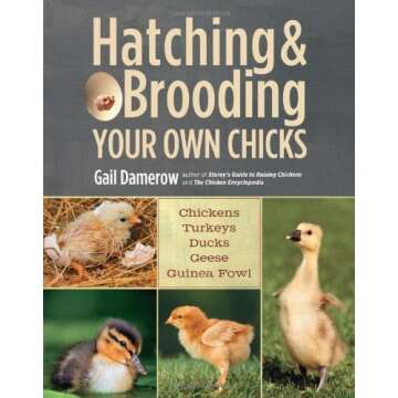 Hatching & Brooding Your Own Chicks by Gail (15-Feb-2013) Paperback