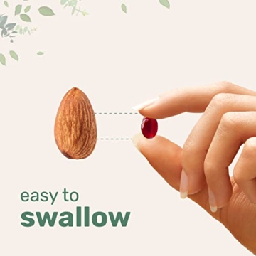 Antarctic Krill Oil Supplement Supports Health - 300 Soft-Gels