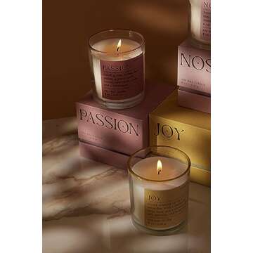 Paddywax Scented Candles Mood Collection Fragrant Boxed Candle in Glass Vessel, 8-Ounce, Passion
