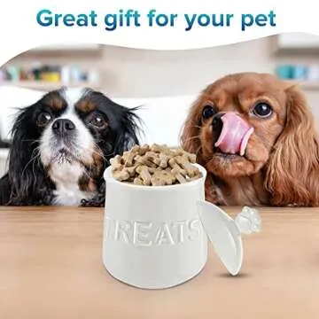 Kovot Ceramic Dog Treats Jar - Airtight Paw Handle