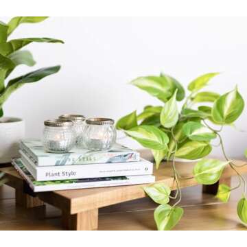 Kurrajong Farmhouse Fake pothos Plant | Fake Plant for Shelf Decor |14" Artificial Trailing Ivy Plan...