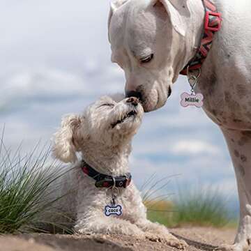 Personalized Engraving Pet ID Tags Small or Large Dog Tags Engraved Both Sides Bone Shape Cat Tag Cu...