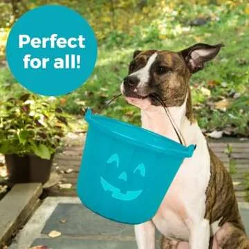 Teal Pumpkin Halloween Buckets 2 Pack for Allergy-Friendly Fun
