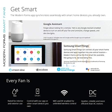 Axis Smart Indoor and Outdoor 52in Fan with LED Light