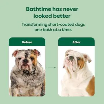 Earth Rated 3-in-1 Dog Shampoo, Conditioner and Deodorizer, for Short-Haired Dogs and Puppies to Moisturize and Tackle Shedding, Refreshing White Tea and Basil Scent, 16 oz