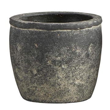 Stylish 47th & Main Cement Decorative Planter for Succulents