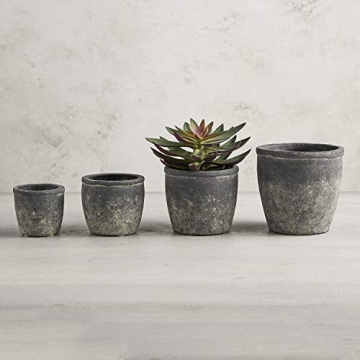Stylish 47th & Main Cement Decorative Planter for Succulents
