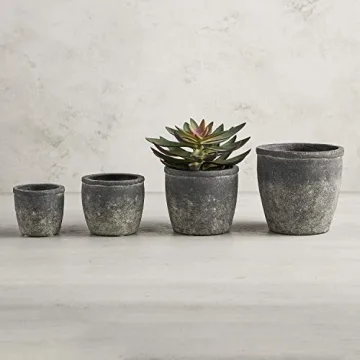 Stylish 47th & Main Cement Decorative Planter for Succulents