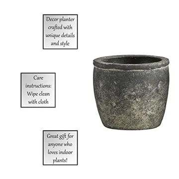 Stylish 47th & Main Cement Decorative Planter for Succulents