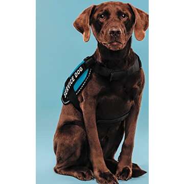 Chester and Gus - A Heartwarming Tale of Friendship