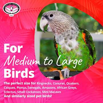 Super Bird Creations SB634 4 Way Forager Bird Toy with Clear Acrylic Cups, Medium to Large Bird Size, 12” x 7” x 7”