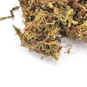 140ml Railroad Scenery Forest Ground Cover Static Grass Artificial Moss War Gaming Scenery Miniature Basing Material Landscape Model Modelling Diorama Railway Railroad Layout Hobby (Withered Yellow)