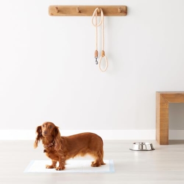 Amazon Basics Puppy Training Pads – Leakproof, Absorbent & Reliable