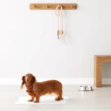 Amazon Basics Puppy Training Pads – Leakproof, Absorbent & Reliable