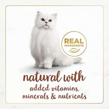 Purina Fancy Feast Gourmet Beef Cat Food for Adult Cats