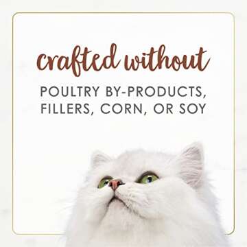 Purina Fancy Feast Gourmet Beef Cat Food for Adult Cats