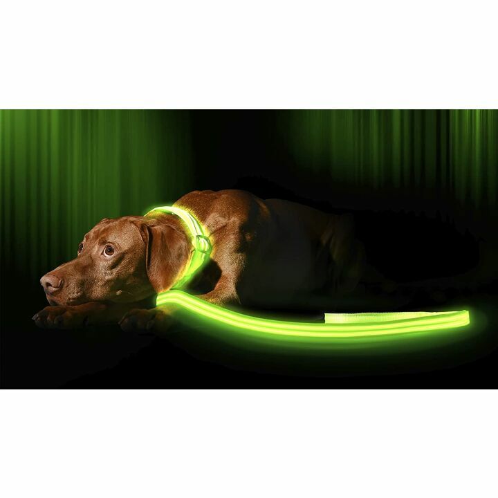 LED Light Up Dog Leash with 3 Modes & Padded Handle