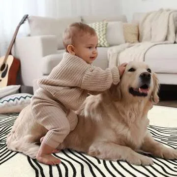 SunNewt 6x9 Rug Modern Abstract Area Rug Contemporary Striped Living Room Rug Stain Resistant Washable Rug Non-Shedding Bedroom Rug Non-Slip Low-Pile Floor Carpet for Dining Room Kitchen Home Office