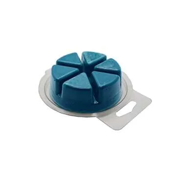 North Mountain Supply Eco-Friendly Wax Melt Clamshells - 30 Pack