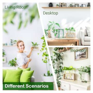 Ivolador Wall Mounted Hanging Plants Terrariumin Test Tube Flower Bud Tabletop Glass Wooden Stand wi...