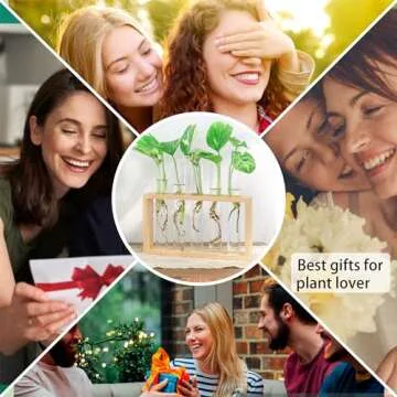 Ivolador Wall Mounted Hanging Plants Terrariumin Test Tube Flower Bud Tabletop Glass Wooden Stand with 5 Test Tube Perfect for Propagating Hydroponic Plants Home Garden Wedding Decoration-Log