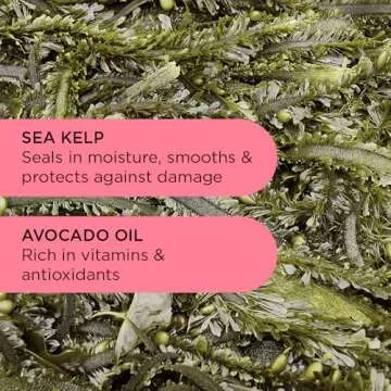 Noughty Wave Hello Curl Defining Shampoo 250ml