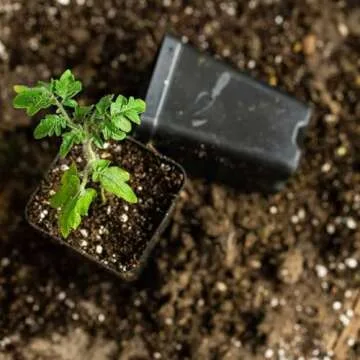 Bootstrap Farmer Extra Strength Seedling Starter Trays