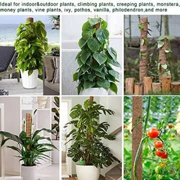 Fabulas Moss Pole 47.5 Inch - Monstera Plant Support, 4 Packs 16 Inch Plant Stakes for Indoor Plants Coco Coir Moss Pole Sticks for Climbing Potted Live Plants, Pothos, Philodendron, with Garden Ties