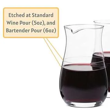 BTaT- Wine decanter, 2 PCS, 9.3 oz, Small Wine Carafe, Small Carafe, Mini Carafe, Glass Wine Carafe, Single Serve Wine Carafe, Small Decanter, Small Wine Decanter, Single Serving Wine decanter