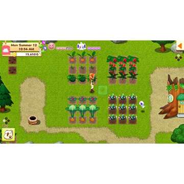 Harvest Moon: Light of Hope Special Edition - PlayStation 4